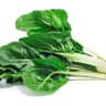 Chard/Kale/Spinich